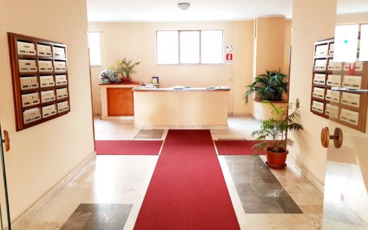 LUMINOSO 5 VANI IN VIA AQUILEIA